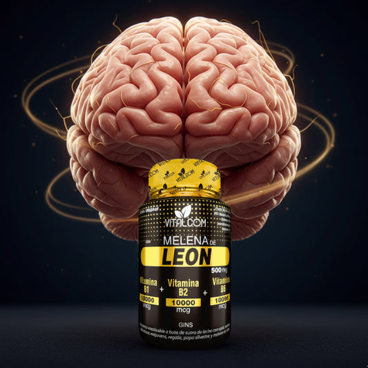 Melena de León Premium: Nutre tu cerebro, protege tus recuerdos.